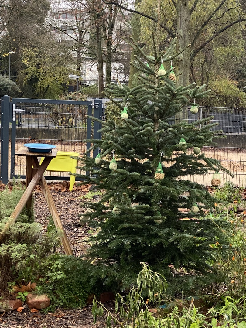Weihnachtsbaum für Tiere im Schulgarten